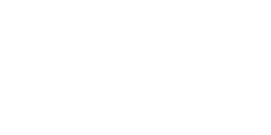 logo-plv-white