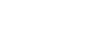 logo-udirev-white