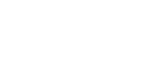 logo-udirev-white2